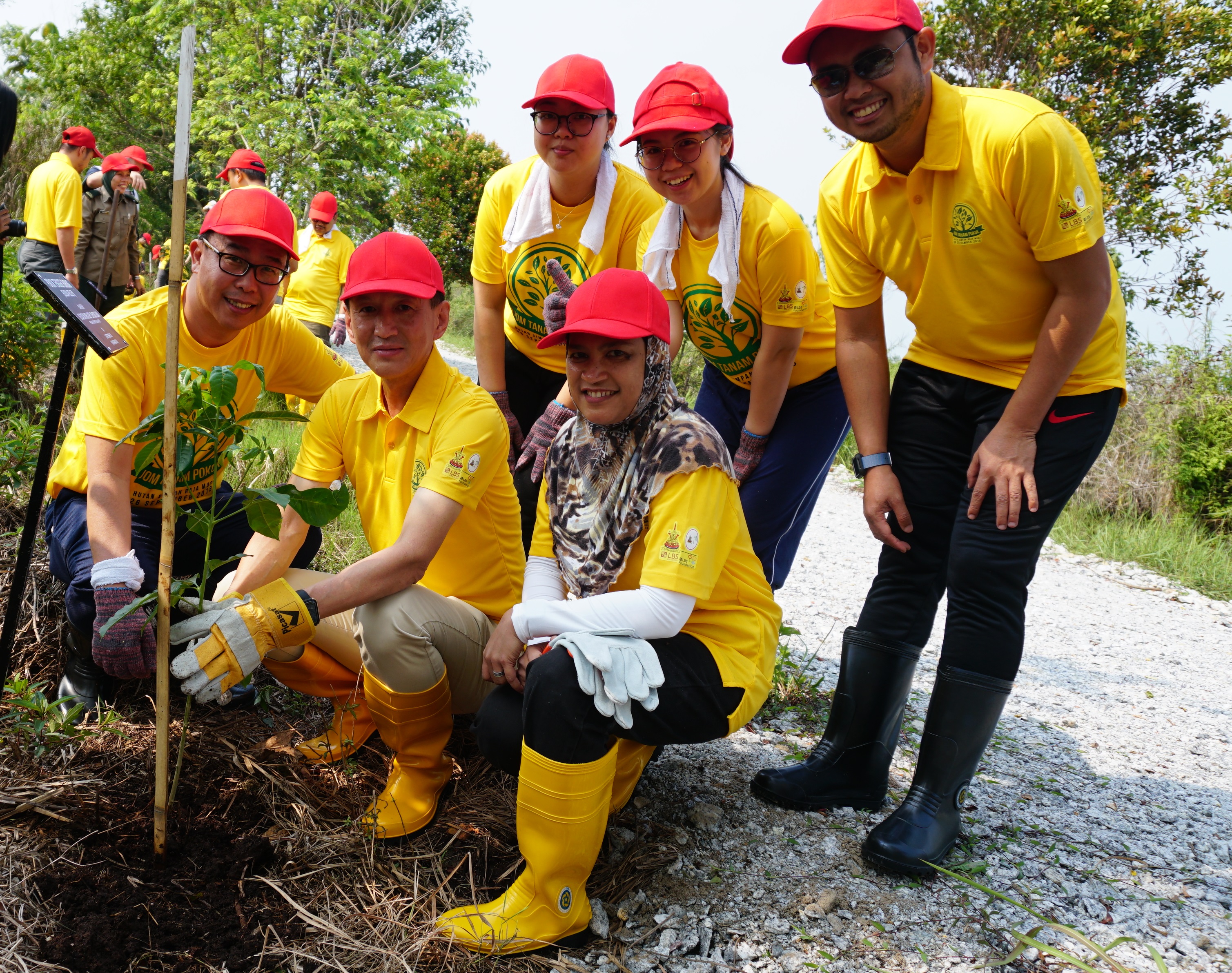 Program Penanaman dan Pemuliharaan Pokok di Hutan Simpan Raja Musa Bestari Jaya Daerah Kuala Selangor